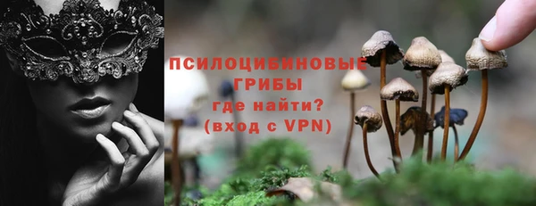 твердый Алзамай