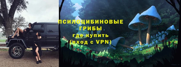 ПСИЛОЦИБИНОВЫЕ ГРИБЫ Алексеевка