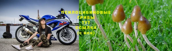 ПСИЛОЦИБИНОВЫЕ ГРИБЫ Алексеевка